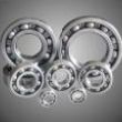 Stainless Steel Deep Groove Ball Bearing 6000 6200 6300 6800 (ZZ, Z, 2RS, RS)