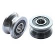 Guide Way Ball Bearing (LFR50-5 NPP)