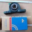 High Precision NTN Ucp208, Pillow Block Bearing (UCT204, FK UCF211, Asahi ucfl212)