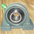 Pillow Block Bearing (UCPA 203)