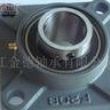 Stainless Steel Pillow Block Bearing UC309