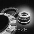 Thrust Needle Roller Bearing